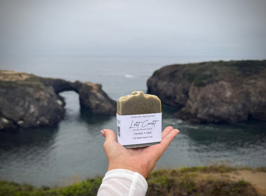 Lost Coast