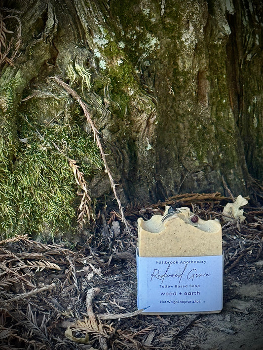 Redwood Grove